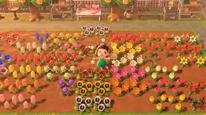 Pin By Miranda Erickson On Animal Crossing In 2020 Animal Crossing Grow Animals Rare Flowers