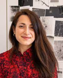 Eleni (odpowiednikiem imienia w języku polskim jest helena), właściwie helena dzoka lub helena tzoka (gr. Eleni Psarou Ernst Strungmann Institute Esi For Neuroscience