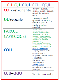 Risultati Immagini Per Immagini Qu Lezioni Di Grammatica Ortografia Di Prima Classe Regole Ortografiche