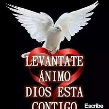 Nadie puede alterar el amor de dios ni degradarlo. El Poder Del Amor Home Facebook