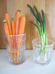 Also includes tips on how to long term storage in cellar, and freezing them. Practical Ways To Store Food Without A Fridge The Lazy Homesteader