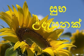 Morning quotes good morning wish sinhala photos. Sinhala Good Morning Sms Wishes Images For Facebook Whatsapp Picture Sms Txts Ms