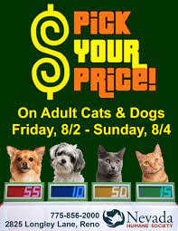 Special Pet Adoption Promotion When Shelters Become Crowded Dog Marketing Animal Shelter No Kill Animal Shelter