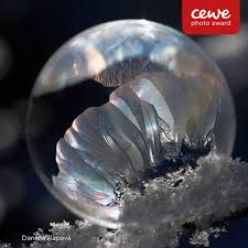 Diese Im Winter Eingefrorene Blase Fotografiere Daniela Rapava In Slowenien Nimm Auch Du Am Cewe Photo Award Teil Und Lade Deine Bilder Cewe Bilder Fotografie