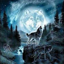 Wolf Spirit Mystical Animals Wolf Wallpaper Wolf Pictures