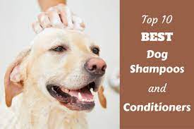 Baby shampoo is the only safe alternative to specialized puppy shampoo and can be used on puppies. Is Johnson And Johnson Baby Shampoo Safe For Dogs Pasteurinstituteindia Com