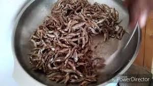 First gather the number of eggs you want to. How To Fry Omena