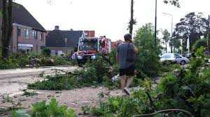 Het noodweer van gisteren heeft tot ongekende schade geleid in de bossen op de utrechtse heuvelrug rond leersum. 8 I0bu3iqxugrm