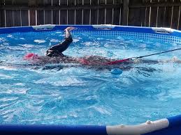 Homeadvisor's pool pricing guide gives average swimming pool prices per square foot. Woman Builds A Tiny Pool For 450 So She Can Swim In Place In Lockdown Insider