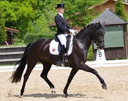 Dritte wurde die sechsmalige olympiasiegerin isabell werth aus. Jessica Von Bredow Werndl Acquires Forsazza De Malleret