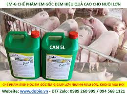 CHẾ PHẨM SINH HỌC EM G GỐC DẠNG NƯỚC 5 LÍT - Giải pháp chăn nuôi thủy sản  nông nghiệp hiệu quả - Dobio.vn