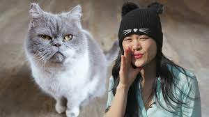 Our clients that have cats prefer a cat sitter who is dedicated to cat only visits and with a knowledge of cat care. How Much Money A Professional Can Make In A Day Pampering Spoiled Cats