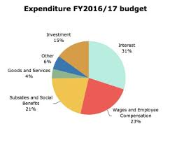 A Visual Guide To The 2016 17 Budget Mada Masr