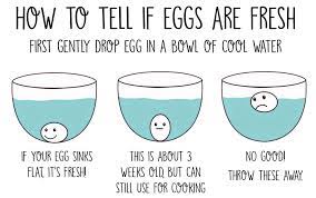 How do you determine the freshness of an egg? Amakaztips Hashtag On Twitter