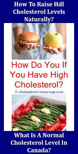 Diett Hdlcholesterollevels How Can You Lower Your Cholesterol Levels What Should Hdl Cholesterol Be Ldl Lower Cholesterol High Cholesterol Cholesterol Levels