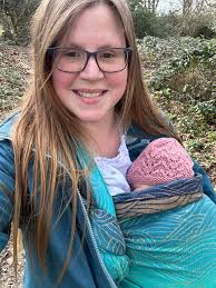 Traveling with a Lectric Tricycle and Modifications for Comfort and Pet  Transportation