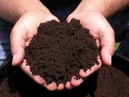 Image result for organic fertilizer