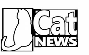 Die hierdurch entstandenen kosten sowie die kosten für eine eventuelle weiterbehandlung des tieres gehen ausschließlich zu lasten des käufers. Https Cat News Net Wp Content Uploads 2017 10 Kaufvertrag F C3 Bcr Eine Katze Pdf
