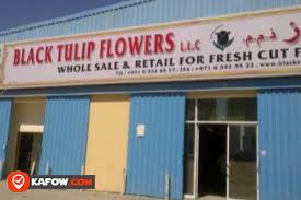 Black tulip floral design offers beautiful flower arrangements in odessa tx. Black Tulip Flowers Llc Kafow Uae Guide Kafow Uae Guide