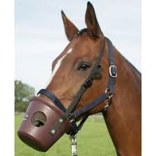 Filets et sacs à foin. Museliere Plastique Montee Sur Nylon Waldhausen Waldhausen Soins Cheval Equestra