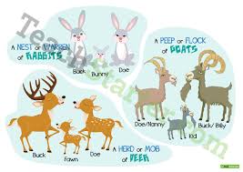 Korea has developed globally only in recent years. Male Female Baby And Group Animal Names Posters Teaching Resource Teach Starter