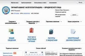 Lichnyj Kabinet Nalogoplatelshika Na Sajte Fns Zhurnal Nalogovaya Politika I Praktika