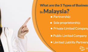 What Are The 5 Types Of Business Entity In Malaysia Business Entity Malaysia