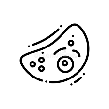 Plant cell clipart black and white. Cytoplasm Organelles Stock Illustrations 197 Cytoplasm Organelles Stock Illustrations Vectors Clipart Dreamstime