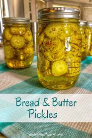 Keep the ratios the same, and you can make more or less brine to suit the amount of pickles you want to make. Bread And Butter Pickle Recipe Small Batch