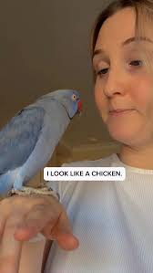 Bridget Chant (@bridgetchant) • Instagram photos and videos