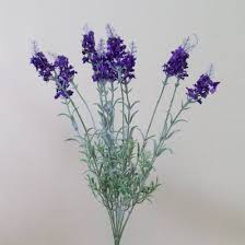 Jun 02, 2021 · dark lavender chiffon from proven winners displays rich, dark purple flowers all summer on dark green foliage. Artificial Lavender Plant Dark Purple Artificial Flowers