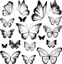Schmetterling Tattoo Bedeutung Schon Und Sinnvoll Schmetterling Tattoo Bedeutung Schmetterling Tattoo Und Schmetterling Vorlage