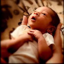 Carolina Soft Shell Crab Sandwich!!🦀😋 Crispy soft shell crab with a fried  green tomato, pimento cheese & garlic aioli