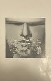 Herbert Bayer Jahresausstellung des Kunstvereins Salzburg im Künstlerhaus