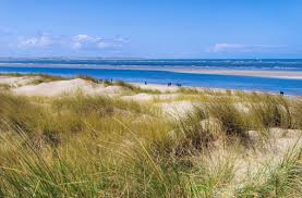 Check spelling or type a new query. Urlaub An Der Nordsee Ostfriesland Pension De