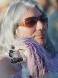 Westland Blues, Brews and BBQ 2016