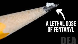 Image result for Fentanyl