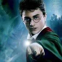 20+ "Vincent Murillo" profiles