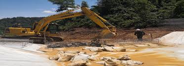 The company's latest financial report indicates a net sales revenue. Emas Dinamik Sdn Bhd