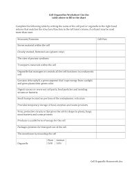 microsoft word cell organelle homework