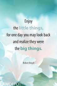 Enjoy The Little Things In Life For One Day You Ll Look Back And Realize They Were The Big Things Enjoy The Little Things For One Day You May Look Back And Realize They Were The Big Things Robert Brau Quotes And Notes Motivational Quotes Words Of Wisdom