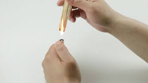 Fake Vs. Real Palo Santo Wood
