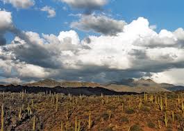 A slight northwest route from phoenix will bring you toward the city of prescott and the wooded mountains of prescott national forest. Tonto National Forest Arizona