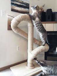 Sisal Cat Tree Von Catastrophicreations Auf Etsy Hank Kedi Agaclari Hayvan Projeleri Evcil Hayvan Yataklari