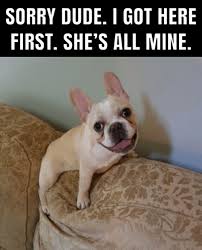 Sorry Dude I Got Here First She S All Mine Dude Meme On Loveforquotes Com