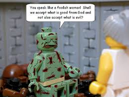 For example, the quality paperback book club offers inexpensive. Sam S Club Bans Brendan Powell Smith S Brick Bible Tbb Mini Review News The Brothers Brick The Brothers Brick