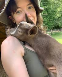 Registerable polled fainting goats for sale in Weaverville, NC