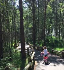 Our accommodation ash 814 a woodland lodge was lovely but for £1700 for a week i would expect a bit more. Top Tips For An Amazing Break At Center Parcs The Money Whisperer