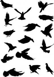 On Alti Guvercin Silhouettes Stok Illustrasyon 2020 Silhouettes Illustrasyonlar Kus Siluet