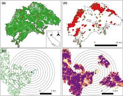 Most people have encountered this many times. Extent Configuration And Diversity Of Burned And Forested Areas Predict Bat Richness In A Fire Maintained Forest Springerlink